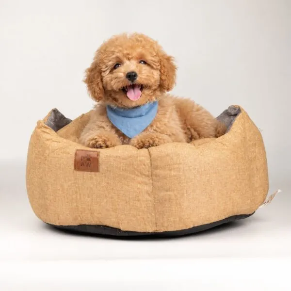 bG9jYWw6Ly9tZWRpYS8xSi9KQy82MFIzMEMxSjZSVktKQzFKLzNiMzE1NzNjLnBuZw.webp Paw Bed – Medium Royal Crown – Sand & Grey – 50 × 50 × 26cm
