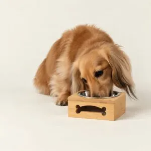 bG9jYWw6Ly9tZWRpYS8xSy82Qy82MFIzMEMxSjZSVjM2QzFLLzZkZjZmMTJlLnBuZw.webp PAW Food Bowls - Single Stainless Steel (201) in Wooden Stand - 12cm