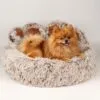 bG9jYWw6Ly9tZWRpYS8xTS9KQy82MFIzMEMxSjZSVktKQzFNLzJlMzcwYzRjLnBuZw.webp PAW Bed – Medium Big Paw – 60cm