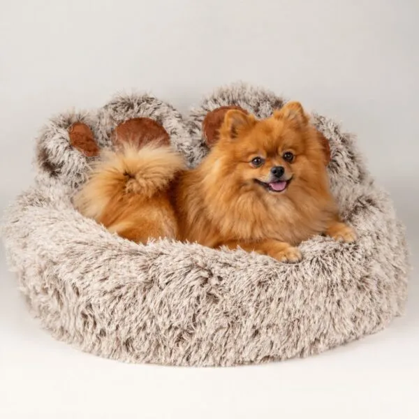 bG9jYWw6Ly9tZWRpYS8xTS9KQy82MFIzMEMxSjZSVktKQzFNLzJlMzcwYzRjLnBuZw.webp PAW Bed – Medium Big Paw – 60cm