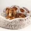 bG9jYWw6Ly9tZWRpYS8xTi9KQy82MFIzMEMxSjZSVktKQzFOL2FkMTBkNWE2LnBuZw.webp PAW Bed – Large Big Paw – 70cm