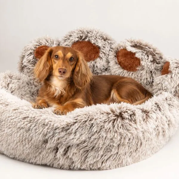 bG9jYWw6Ly9tZWRpYS8xTi9KQy82MFIzMEMxSjZSVktKQzFOL2FkMTBkNWE2LnBuZw.webp PAW Bed – Large Big Paw – 70cm