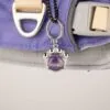 bG9jYWw6Ly9tZWRpYS8xUC80RC82MFIzMEMxSjZSVEs0RDFQLzY1YWNjNjYyLmpwZw.webp PAW - XS (2-4Kg) Dog Step-in Guardian Harness with Reflective Mesh - Lavender - Amethyst Charm