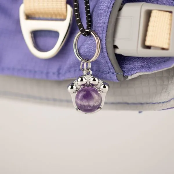 bG9jYWw6Ly9tZWRpYS8xUC80RC82MFIzMEMxSjZSVEs0RDFQLzY1YWNjNjYyLmpwZw.webp PAW - XS (2-4Kg) Dog Step-in Guardian Harness with Reflective Mesh - Lavender - Amethyst Charm