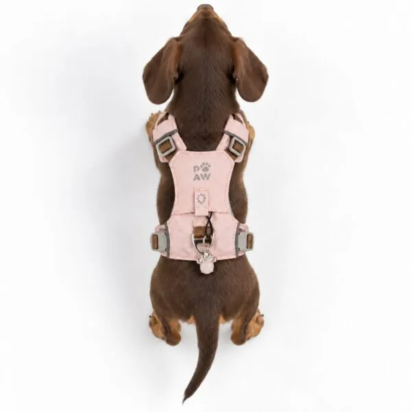 PAW - XS (2-4Kg) Dog Step-in Guardian Harness with Reflective Mesh - Soft Pink - Rose Quartz Charm