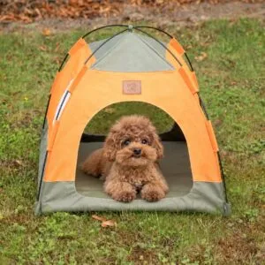 PAW Bed – Green and Orange Tent