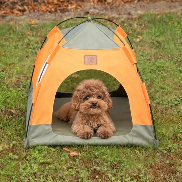 Paw Pet Tent Orange