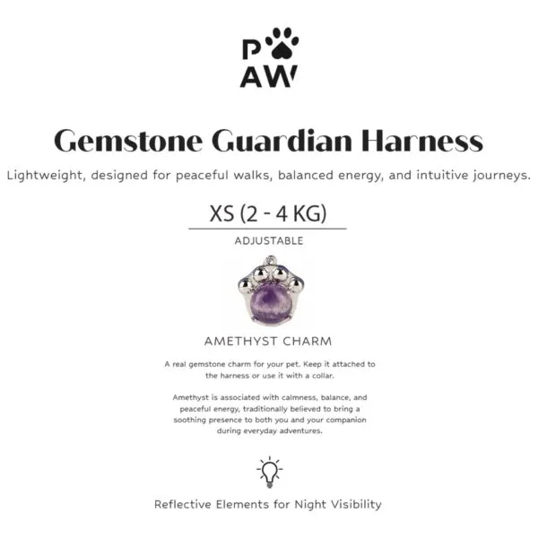 bG9jYWw6Ly9tZWRpYS8xUS80RC82MFIzMEMxSjZSVEs0RDFRL2I3OTk2M2YwLmpwZw.webp PAW - XS (2-4Kg) Dog Step-in Guardian Harness with Reflective Mesh - Lavender - Amethyst Charm