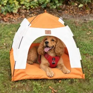 Paw Pet Tent Orange PAW Bed – Beige and Orange Tent