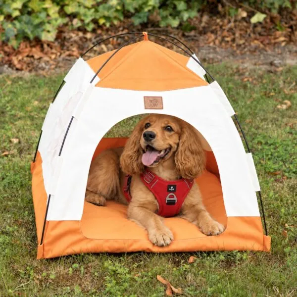 PAW Bed – Beige and Orange Tent