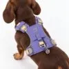 bG9jYWw6Ly9tZWRpYS8xUi84RC82MFIzMEMxSjZSVEs4RDFSLzM3MDQ5NDEyLnBuZw.webp PAW - XS (2-4Kg) Dog Step-in Guardian Harness with Reflective Mesh - Lavender - Amethyst Charm