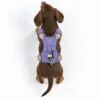 bG9jYWw6Ly9tZWRpYS8xUy84RC82MFIzMEMxSjZSVEs4RDFTLzMwOTY0ODUxLnBuZw.webp PAW - XS (2-4Kg) Dog Step-in Guardian Harness with Reflective Mesh - Lavender - Amethyst Charm