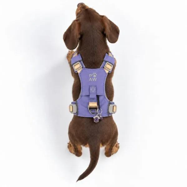 bG9jYWw6Ly9tZWRpYS8xUy84RC82MFIzMEMxSjZSVEs4RDFTLzMwOTY0ODUxLnBuZw.webp PAW - XS (2-4Kg) Dog Step-in Guardian Harness with Reflective Mesh - Lavender - Amethyst Charm
