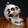 bG9jYWw6Ly9tZWRpYS8xUy9DRC82MFIzMEMxRzZSVDNDRDFTLzJlZjgwODEwLmpwZWc.webp Skull with Open Mouth Backflow Incense Burner