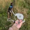 bG9jYWw6Ly9tZWRpYS8xUy9KRC82MFIzMEMxSjZSVEtKRDFTLzFiYWQzZTY0LnBuZw.webp Paw Pet Leash - Elephant Strap - Grey - 2m