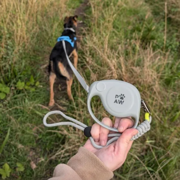 bG9jYWw6Ly9tZWRpYS8xUy9KRC82MFIzMEMxSjZSVEtKRDFTLzFiYWQzZTY0LnBuZw.webp Paw Pet Leash - Elephant Strap - Grey - 2m