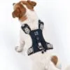 bG9jYWw6Ly9tZWRpYS9IRy84RC82MFIzMEMxSjZSVEs4REhHLzBkMGI2MTcyLnBuZw.webp PAW - S (4-8Kg) Dog Step-in Guardian Harness with Reflective Mesh - Rock Grey - Black Obsidian Charm