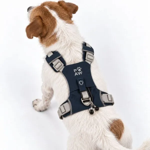 bG9jYWw6Ly9tZWRpYS9IRy84RC82MFIzMEMxSjZSVEs4REhHLzBkMGI2MTcyLnBuZw.webp PAW - S (4-8Kg) Dog Step-in Guardian Harness with Reflective Mesh - Rock Grey - Black Obsidian Charm