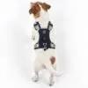 bG9jYWw6Ly9tZWRpYS9ISC84RC82MFIzMEMxSjZSVEs4REhIL2RkYWI3OGY4LnBuZw.webp PAW - S (4-8Kg) Dog Step-in Guardian Harness with Reflective Mesh - Rock Grey - Black Obsidian Charm