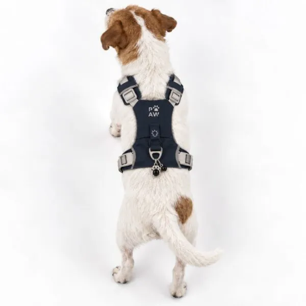 bG9jYWw6Ly9tZWRpYS9ISC84RC82MFIzMEMxSjZSVEs4REhIL2RkYWI3OGY4LnBuZw.webp PAW - S (4-8Kg) Dog Step-in Guardian Harness with Reflective Mesh - Rock Grey - Black Obsidian Charm