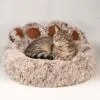 bG9jYWw6Ly9tZWRpYS9ISi8yQy82MFIzMEMxSjZSVzMyQ0hKLzE3MTExZGI4LnBuZw.webp PAW Bed – Medium Big Paw – 60cm