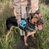 Retractable Dog Lead Blue
