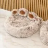 bG9jYWw6Ly9tZWRpYS9IUy9HRC82MFIzMEMxSjZSVktHREhTL2IzZTlhZWEwLnBuZw.webp PAW Bed – Large Big Paw – 70cm