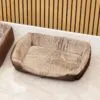 PAW Bed – Small Plush Teddy Brown – 60 × 45 × 17cm