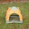 PAW Bed – Green & Orange Tent – 48 × 48 × 40cm